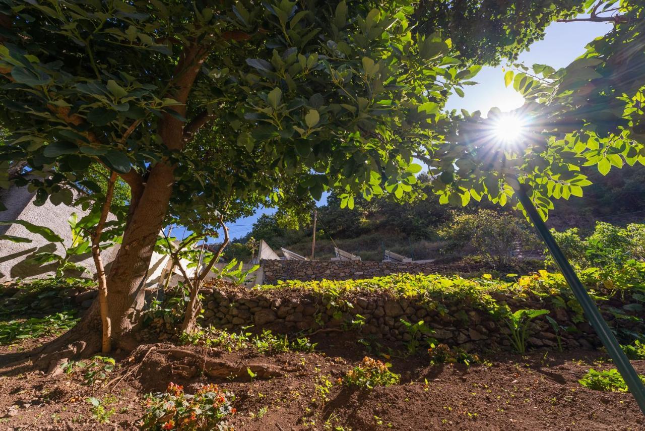 Solar Dos Reis By An Island Apart Ribeira Brava Dış mekan fotoğraf
